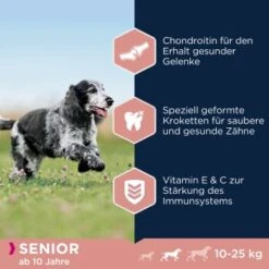 EUKANUBA Caring Senior Medium Breed 15 Kg -Ruffwear Verkäufe c59963b2bf12d7ba820a9f846f7d788be1ad27ba 1293661 de DE asf 2