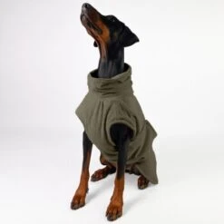 THE DOG IDEA Bademantel Every Khaki XXXS -Ruffwear Verkäufe c6567ee5fa23ab9a22b56936e6d4134ee2acea14 1473018 de DE 152849e6e27b535b9a56967a3d0992ac03ebbc6b46CQen