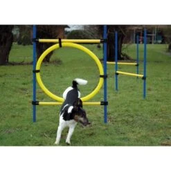 Dobar 3-teiliges Agility Sprung-Set,, Inkl. Tragetasche -Ruffwear Verkäufe c7c9dd298510f0bd74d586405ecbd396df04c759 313726f2dd166c5ec13855d4374275bbe5eeeeec