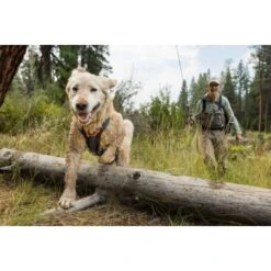 Ruffwear Brush Guard™ Geschirrzubehör S -Ruffwear Verkäufe c88704a120b1ecbe10b5759d1532c5876bf02eec 1651427 de DE 6693c5b56ae972b6dab2ef2f40458870105d43f0wwSvBk