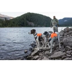 Ruffwear Brush Guard™ Geschirrzubehör S -Ruffwear Verkäufe c88cd95652bf47d736573f40f7008e0ec297ebf2 1651427 de DE f027596fa711f8f1c2dca972f3b6e73d05558853XgDoSQ