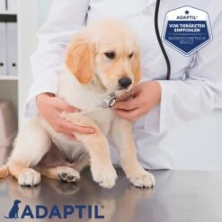ADAPTIL Junior Halsband Anti Stress Erziehungshalsband -Ruffwear Verkäufe cc4ecc643127360381f3d531fb692c527aa781a6 1287044 5