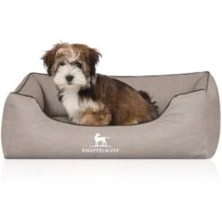 Knuffelwuff Orthopädisches Hundebett Rockland Aus Kunstleder Hellgrau M-L 7 Knuffelwuff Orthopädisches Hundebett Rockland Aus Kunstleder Hellgrau M-L -Ruffwear Verkäufe cddbe657f65275c958b8c0c7cf556c70e548410b 1411979 de DE 2db7865b3b4dcec9e1306995fbe3319c3155ec59hlJfQB