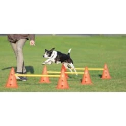 Trixie Dog Activity Hindernisse Ø23x30cm -Ruffwear Verkäufe cf5032631aac0df221da4281f2bf49a2321f1aa1 1287032 de DE Trixie Hindernisse wb 1