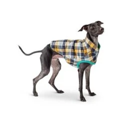 GF Pet Reversible Trail Jacke Grün XXS -Ruffwear Verkäufe d0d86a70089b79c26342e2430bae8caf960ccaed befa58813c2949e634e5b991f29c2ef187a974fc