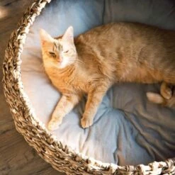 District 70 COCOON Natural M -Ruffwear Verkäufe d1bca9000c27271741682ed9d9947040fa216679 010fccd4edaf289528235b12a94f95e756b71b5e