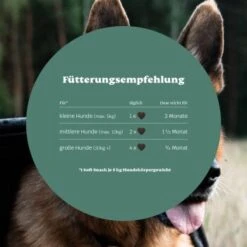 Mammaly Happy Hips 110g -Ruffwear Verkäufe d1f10d1560a44c712d0afb309398150f70e6246b 1472886 1 4