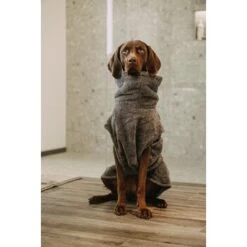 Lills Lill's Hundebademantel "Night Blue" 35 Cm -Ruffwear Verkäufe d200b579b2b65ad9031ca5a6286c317e485ef232 1653379 de DE 98bc74239c4ab048310224eeb67c837697c0c318SRPWrI