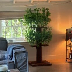 RHR Quality Kratzbaum Design Natural Leaves 11 RHR Quality Kratzbaum Design Natural Leaves -Ruffwear Verkäufe d32ab4bff9ec3b85ae4c7c42fe25c58d6e1cdac6 1651772 de DE ce58d8382b7df57150df15145bf1bd288f24ba1aaicjgL