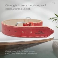 Freudentier Gefüttertes Halsband Aus Leder Rot L 11 Freudentier Gefüttertes Halsband Aus Leder Rot L -Ruffwear Verkäufe d409cad84e2e26e5e855246f3d62526ca2fa7cd7 1655241 de DE b688ee419d994f89d4885d7f15c32b5b6f7cc00bZYodZu