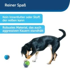 PetSafe Elektronisches Hundespielzeug Ricochet -Ruffwear Verkäufe d4449f153a2c132dbacdcffdb9e5bd1534d39124 1418724 de DE f83cfc689e8023f0b85b6eeadf79a2629df4d4f153I9wY