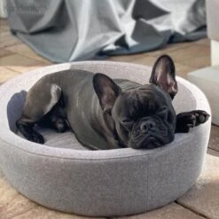 Canadian Cat Company Hunde- & Katzenbett Derby -Ruffwear Verkäufe d4d8399aebe1ed3e66fc23057fe9bc3b6f9819f1 1412690 de DE 7e35afdccac293ca871653190642a189fd08f495NuJfk3