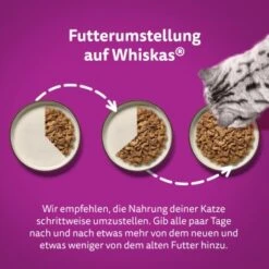 Whiskas Pure Delight Mega Pack Geflügel Ragout In Gelee 40 X 85g -Ruffwear Verkäufe d6a8a09c8b825d7ad1f2bed51042c49fcc323dab 1410723 de DE Whiskas 5