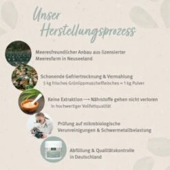 Aniforte Grünlippmuschelpulver Vollfettqualität 100 G -Ruffwear Verkäufe d98faa52594ca23e167fd69cb9699393e0760df9 1439277 de DE 56aad0a42e8544a96587ad496899fa8575021b855zKUTG