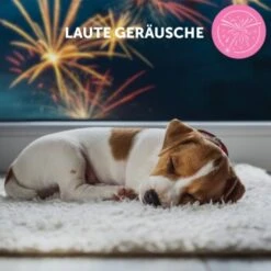 ADAPTIL Junior Halsband Anti Stress Erziehungshalsband -Ruffwear Verkäufe db33920bc3d21bba892bdb530582f20170b9cd84 1287044 9