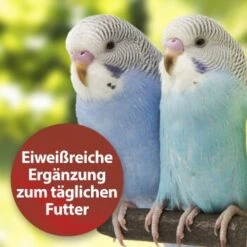 Quiko Bierhefe 400g: Eiweißreiche Ergänzung Zum Täglichen Futter Für Ziervögel -Ruffwear Verkäufe dbea3a9534bfd87d9c3612a707b4b2a72d3b88e8 1386526 de DE 81b3ddf78d2ba1575bc8dd1b556a4d784786c157kjWBy7