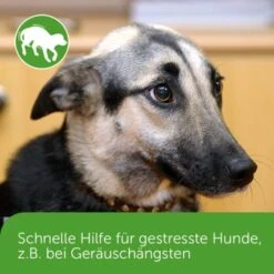 ADAPTIL Chew 30 Stück Anti Stress Snack -Ruffwear Verkäufe dd1f44620defd2e7a86c6271361fb23975f08b2f 1374744 3