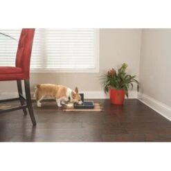 PetSafe Digitaler Futterautomat Für 2 Mahlzeiten -Ruffwear Verkäufe dd3fb1748ad72abb1dbd97f6f077b00bb4d76d05 1291255 de DE cf72a75b3fd4f7fd8b7e51ea368585b22239110fFJga5O