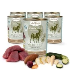 Aniforte WildForest Wild Mit Zucchini 2,4 Kg -Ruffwear Verkäufe de9907efb22dbc04648c2b2329fe0a3934b6825e 1422182 de DE 4352ba6d2a968dfc69f50ce51513e7a4546f2453Ncc4Bl