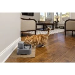 PetSafe Trinkbrunnen 1,8 L -Ruffwear Verkäufe df488cf045110a6e0d24fcded3d81de07583d88a 1323706 7