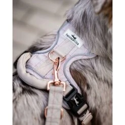 Freudentier Atmungsaktives Hundegeschirr S 11 Freudentier Atmungsaktives Hundegeschirr S -Ruffwear Verkäufe dfd85e8a66f6fba5e82ceb62e116fbf7743591b2 1429123 de DE 960e026e6ecdd61315321da762eb8d6246f50023MkXX3W