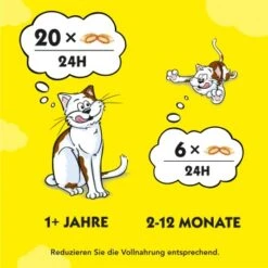 Dreamies Snack-Vielfalt 12x60g -Ruffwear Verkäufe e1b190f4f53100ff83c0fb6481ba747fb1f78bad 1297459 2