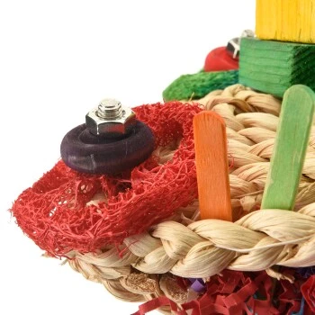 HappyBird Papageienspielzeug Happy Frog 3 HappyBird Papageienspielzeug Happy Frog – Bild 3