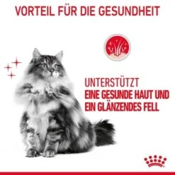 ROYAL CANIN Hair & Skin 12x85g In Soße 16 ROYAL CANIN Hair & Skin 12x85g In Soße -Ruffwear Verkäufe e2d81ab81d31e0f585394370ccf8b63bb2844395 1099143 5