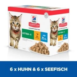 Hill's Science Plan Kitten Multipack Mit Huhn Und Seefisch 12x85 G -Ruffwear Verkäufe e35e003d7953d268e4d7faa01f4ebc88bd9f0d6b 52742211503 3