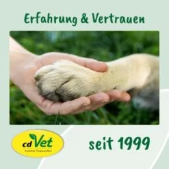 Fell & Haut Vital 150 G -Ruffwear Verkäufe e43eaf71ae161fbb37d73e6d99ceb091a86fef78 1049905 de DE 9de31ae422c889f65e12a1085ee6ba81b11de6a3saphta