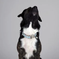 THE DOG IDEA Boho-Chic Halsband Sky S 7 THE DOG IDEA Boho-Chic Halsband Sky S -Ruffwear Verkäufe e4b3c21c18cb662f31589c64dbf999f08cc7dd71 1485276 de DE 04533c3b55e4cd6d5cfc78f632290e4fe1832996kXES09