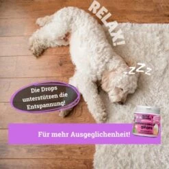 BeG Buddy Beruhigungsmittel Anti Stress 8 BeG Buddy Beruhigungsmittel Anti Stress -Ruffwear Verkäufe e508e321b670c48b8e0200cb260a2948b686e5df 1457250 de DE b3b765708a527c30f34f0f58c8595c44fbb0998aiAYJk8