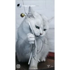 Kater Kasimir Premium Katzenangel Mit 4 Handgemachten Anhängern Aus Naturmaterial -Ruffwear Verkäufe e6fe48d27b82d48675d665ee2a143e3c11de2fd9 1408150 de DE b29a5f7f2530ce6388e16e2600369d70b2ec0350kYn6B8