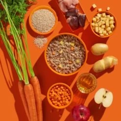 Fred & Felia FRED 10x390g JUNIOR Pute Mit Kartoffeln -Ruffwear Verkäufe e7e1b15c91b7a27074aba2b64ec2522d0d6e61a9 1422069 de DE b38968899d5aadb6bb2af01d15d7f083155a7458GX5lvG