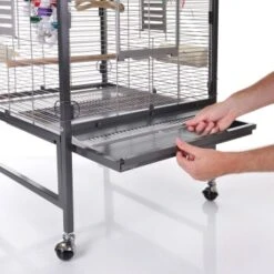 Montana Cages Voliere Paradiso 60 Hellgrau/ Dunkelgrau -Ruffwear Verkäufe e88e491a9118d4237a939c333a64497a7eab0ec9 1205436 de DE 7cc82b47e0d4fb3c6995a6a5eace91599bd27fdddF0rHU