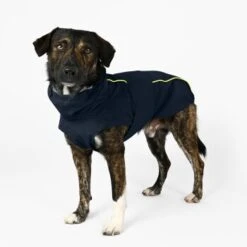 THE DOG IDEA Regenmantel Duke Navy XXXS -Ruffwear Verkäufe ea00da11be84052a9bd95ce1f2727678ed1be4f4 1473009 de DE ac44302b2919bae198c186891f7199cadbe8fe207lh60I