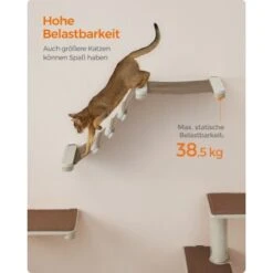 FEANDREA Clickat Katzenmöbel 2er Set, Kletterwand 17 FEANDREA Clickat Katzenmöbel 2er Set, Kletterwand -Ruffwear Verkäufe ea7e627724db534c6e0464771932a5ea554c0b07 1681501 de DE 69b299a2a0b5f1d93e61abe664375afb5e8ca6e9R2CgKk