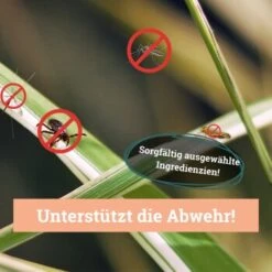 BeG Buddy Fellspray Zecke -Ruffwear Verkäufe eb1ff1dcbcf1fb99bdfd79e45920199bae4b6f63 1457254 de DE 287d7d393bbc4424a21afe4f14bbe46350e68dd0MNLxrc