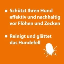 Ardap Anti Zecken Shampoo Für Hunde 250ml -Ruffwear Verkäufe eb2dfbdf7225d09a19c8f88f4646a04f7e5b6075 1289723 de DE 147e22e7e5366ff5c32b239862781e55c73f3298axcqkW