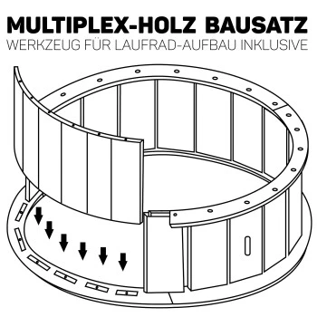 Canadian Cat Company Katzenlaufrad Aus Holz L Schwarz 9 Canadian Cat Company Katzenlaufrad Aus Holz L Schwarz – Bild 9