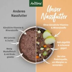 Aniforte CountryBeef Rind Mit Karotte 2,4 Kg -Ruffwear Verkäufe ec14e9ce1a96a89bf6a800294a91e64d1e130d0a 1422174 de DE cb7070057305c47deb0c35105b36e4e8b71a39a16YWcLV