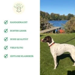 Kipita Polo Hundeleine Lively -Ruffwear Verkäufe ec2a1ce9d03ac52b6ee730c49c20a83c372f273d 1410956 de DE a80600e4efde3a225fa3cf1a3c1d2fd853aec6908O2oVf