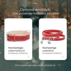 Freudentier Gefüttertes Halsband Aus Leder Rot L 13 Freudentier Gefüttertes Halsband Aus Leder Rot L -Ruffwear Verkäufe edbbec2203d36f9f92e63e25e5dac1465e2212f9 1655241 de DE f27ae6c917577706d4abf31813f6f4ca38005295rnxmmc