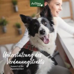 Aniforte Plus Magen & Darm 90 Tabletten -Ruffwear Verkäufe ee4705a2057b1edfe526ac54d24ab38e77b08466 1455900 de DE 5c17b7bc229b49c1931595cd931e95f6c72ef6cddQne1A