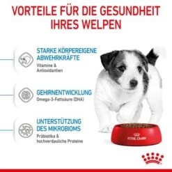 ROYAL CANIN Mini Puppy 8 Kg -Ruffwear Verkäufe f04b24946028acb42b734103d58bb0208e88dc07 3182550793049 5