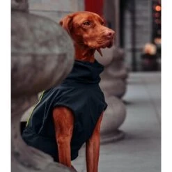 THE DOG IDEA Regenmantel Duke Navy XXXS -Ruffwear Verkäufe f096e7e133fa443cf15650dbb41c90e9710286ba 1473009 de DE 7ba56fe6bcea2b1323841a8c8f236c15c303a8beNvhTm4