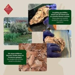 ChronoBalance Kauwurzel Baumheide (XS) 2er Paket -Ruffwear Verkäufe f0b2f3756e5531b78417ef4e33bb662d74069c60 1418712 de DE ba8b2a31068658c9820512bd79f25900dbe0cd09vNo0eo