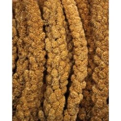 JR Farm Gelbe Kolbenhirse 1,5 Kg -Ruffwear Verkäufe f38b3973c37de3c4049cfe33760d45f9b1030524 bf617f613049b6bf32c99e0b1ff1845b71b1521d