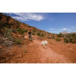 Ruffwear Swamp Cooler Zip™ Kühlweste Für Hunde Pink XL -Ruffwear Verkäufe f39337d577f60e5d30ba5addfb811febecbc66e7 1639652 de DE 1ff9fca93caed68be3a65cc55ad0d154f81bf268suJpN2