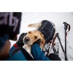 Ruffwear Cloud Chaser™ Hundejacke -Ruffwear Verkäufe f46c67f8b7243d976f998e1877675b56fc87eab2 1369625 de DE 51d1c132eb566a7eb9e278708f64567d4e47a10epBiJRc